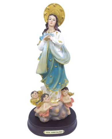 Nossa Senhora da Assunção - Resina