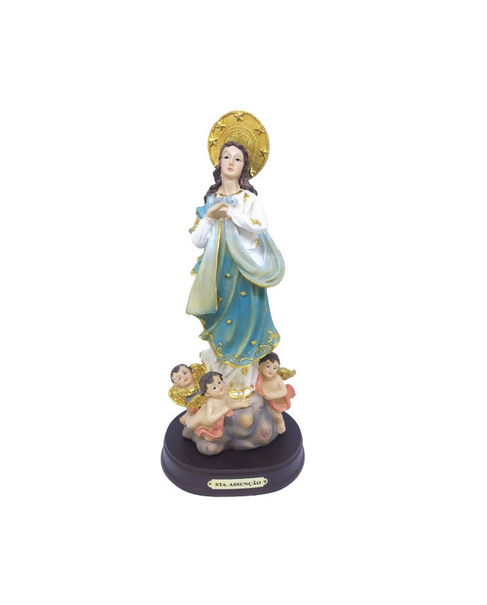 Nossa Senhora da Assunção - Resina