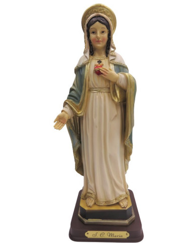 Sagrado Coração de Maria -Resina Sagrado Coração de Maria -Resina