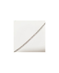 Corrente de prata - n.º 21